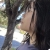 Yuli Zhang Le contributor to Saintly